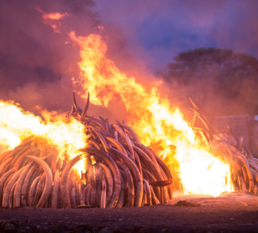 Anthropocene The Human Epoch